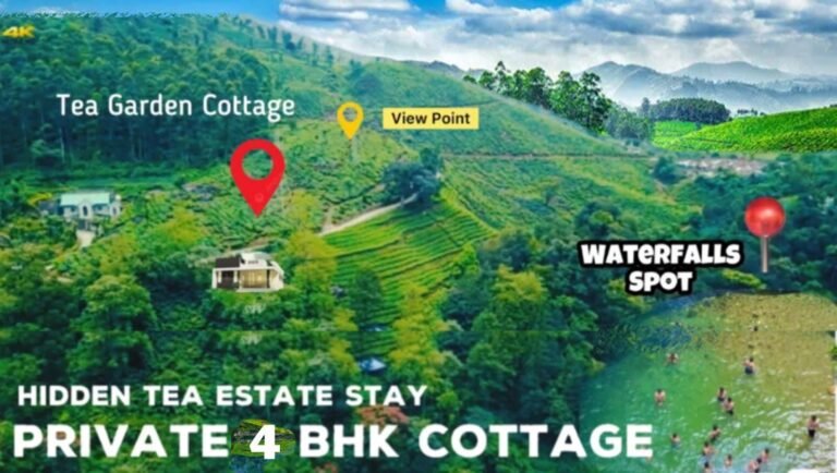 WhatsApp Image 2025-12-03 at 12.40