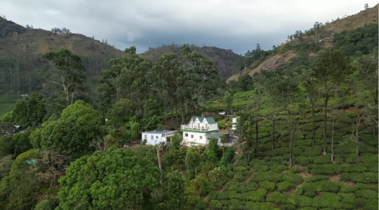 WhatsApp Image 2025-12-03 at 12.40